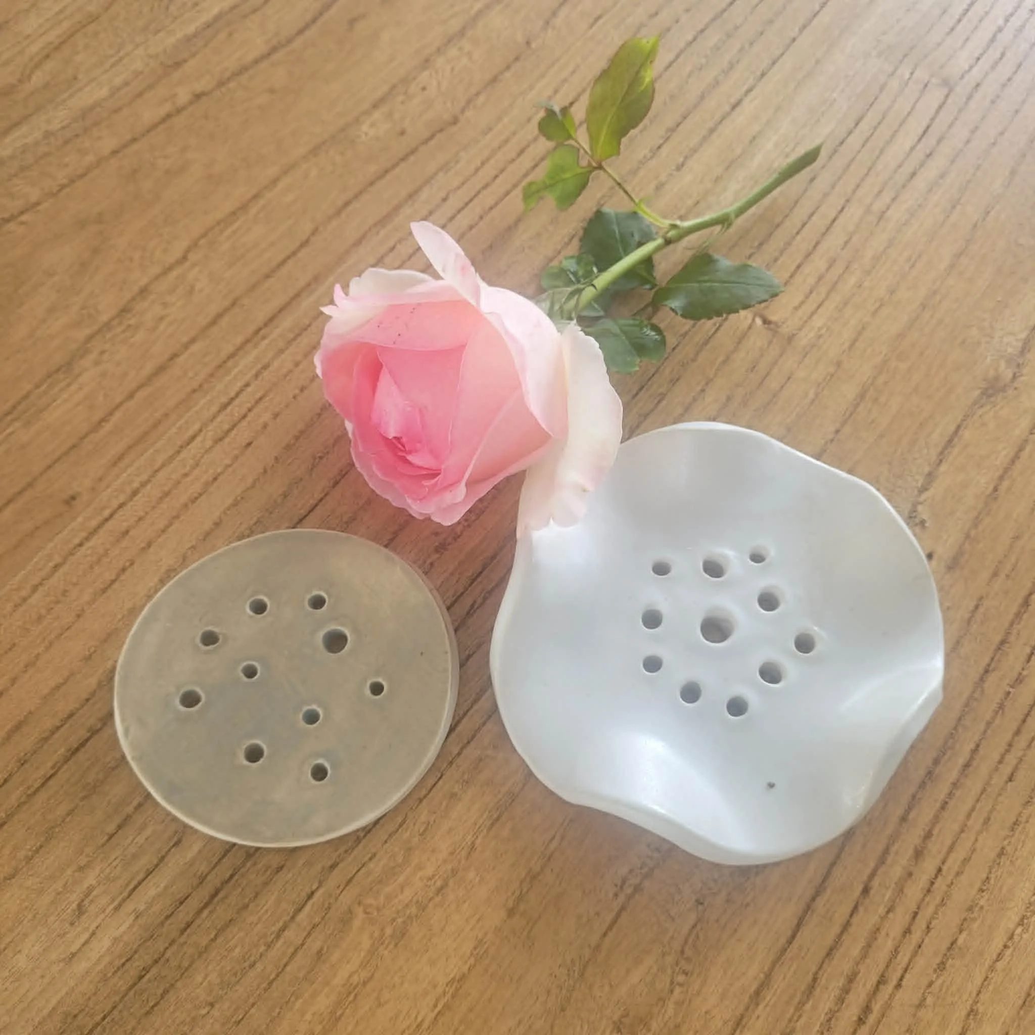 -propagation-rest-ceramic-rooting-disc-my-earthy-life-flatlay