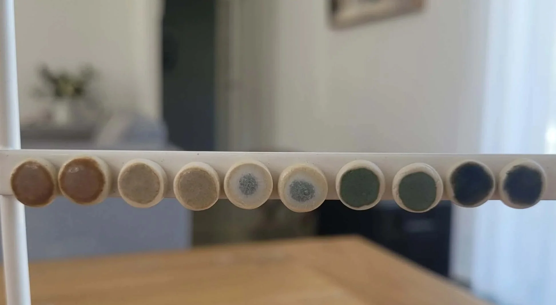 f28493e4-3df7-4f59-817b-dd116ebdbd49.jpg (Copy) (Copy)