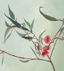 gum blossom detail 1.PNG