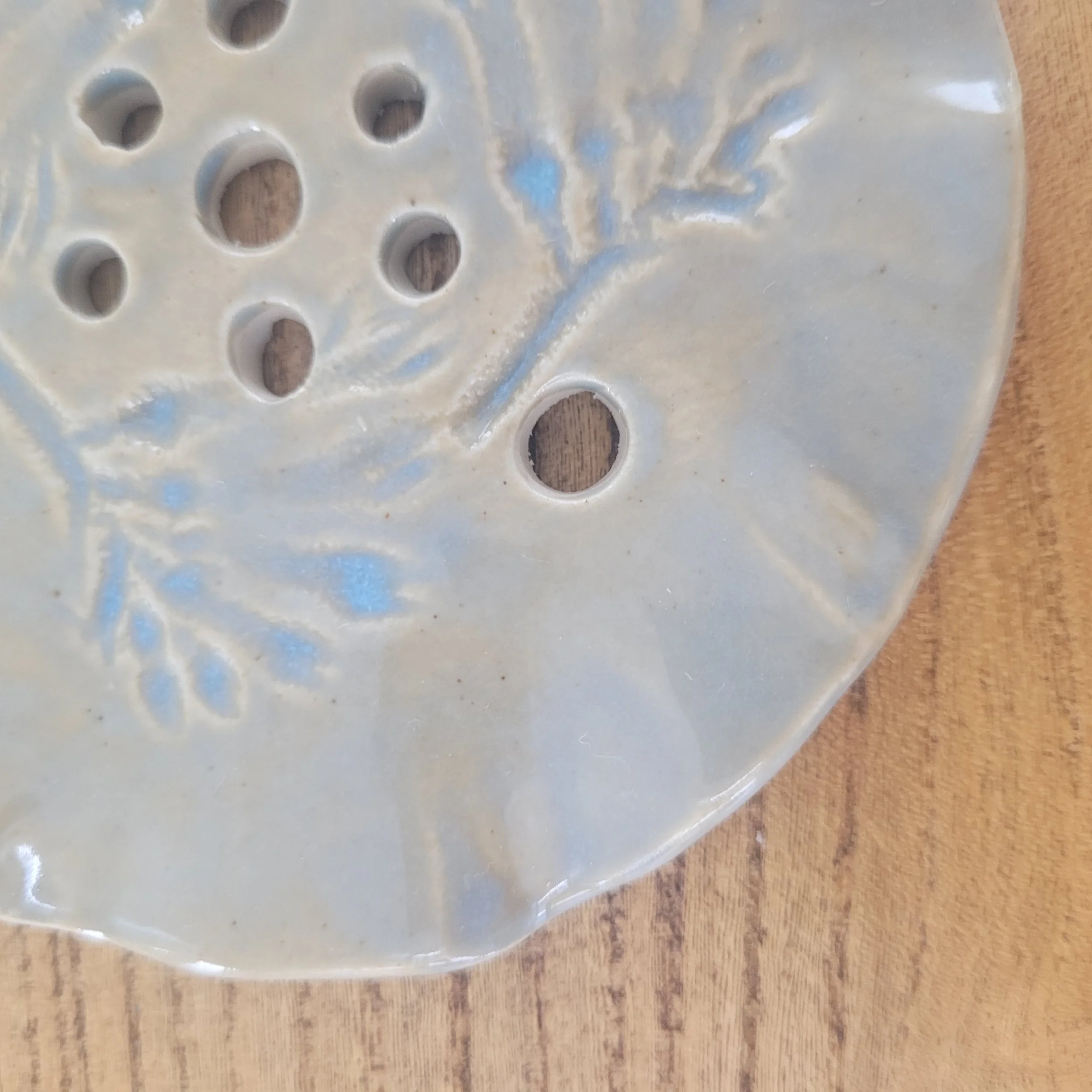 Morning Mist – Kangaroo Paw | Ceramic Propagation Rest