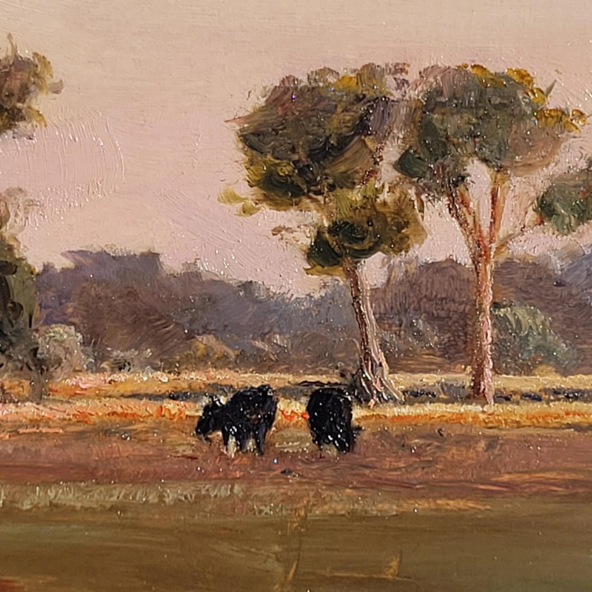 61e02e01-0f78-4f22-9d05-2f7afbe0e71b.jfif