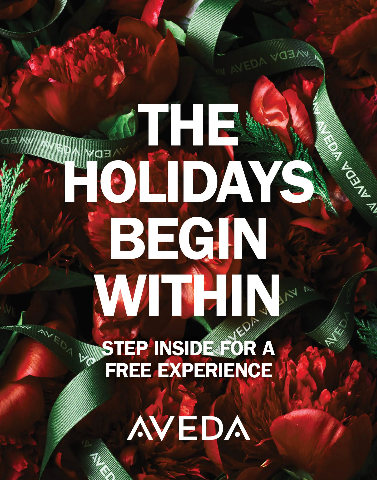 Holiday Gifting | Campaign Posters