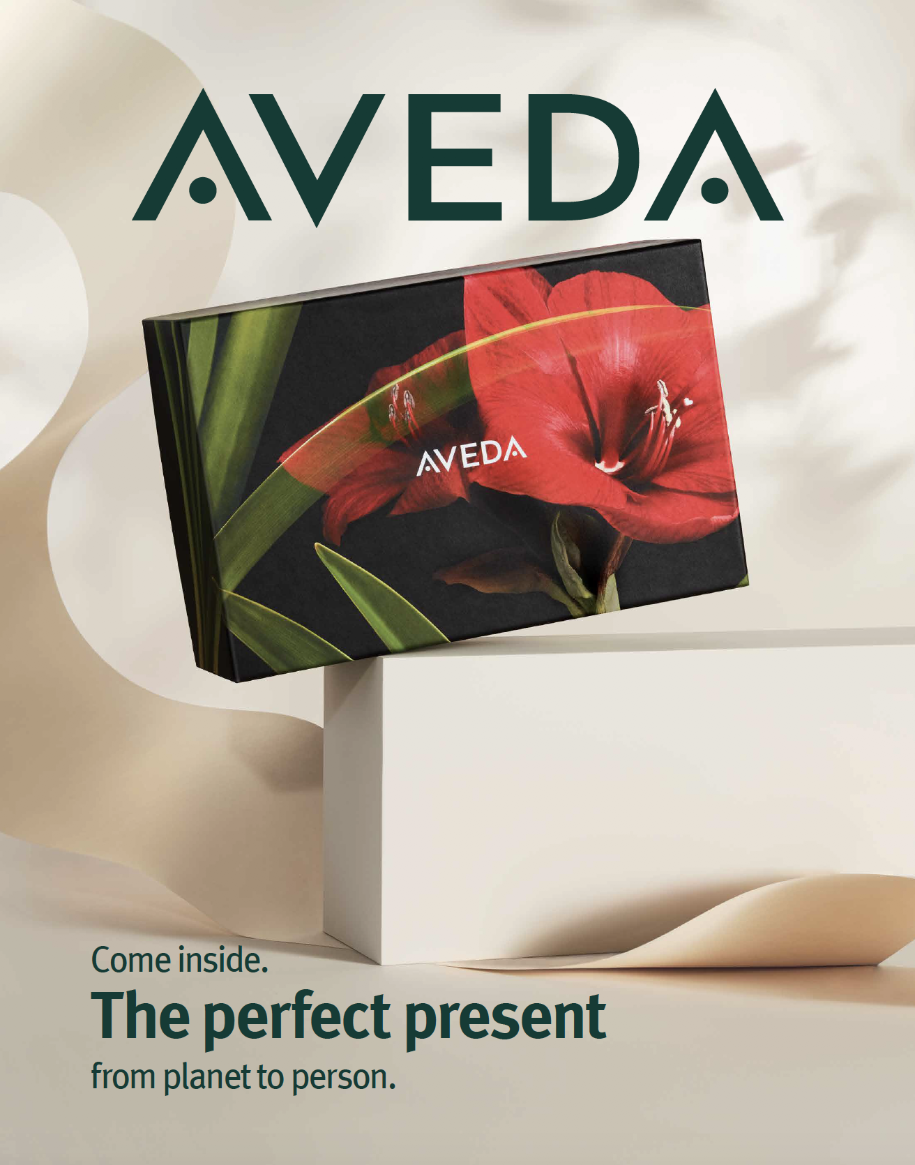 Holiday Gifting | Campaign Posters