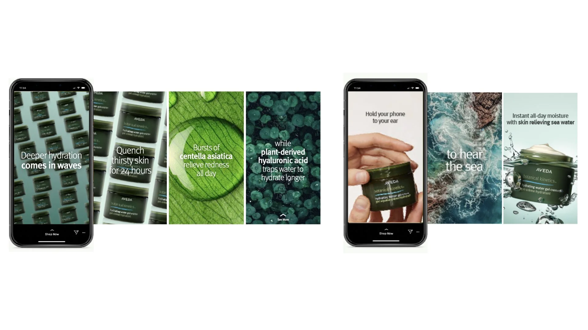 Botanical Kinetics Skincare  |   Social Concepts