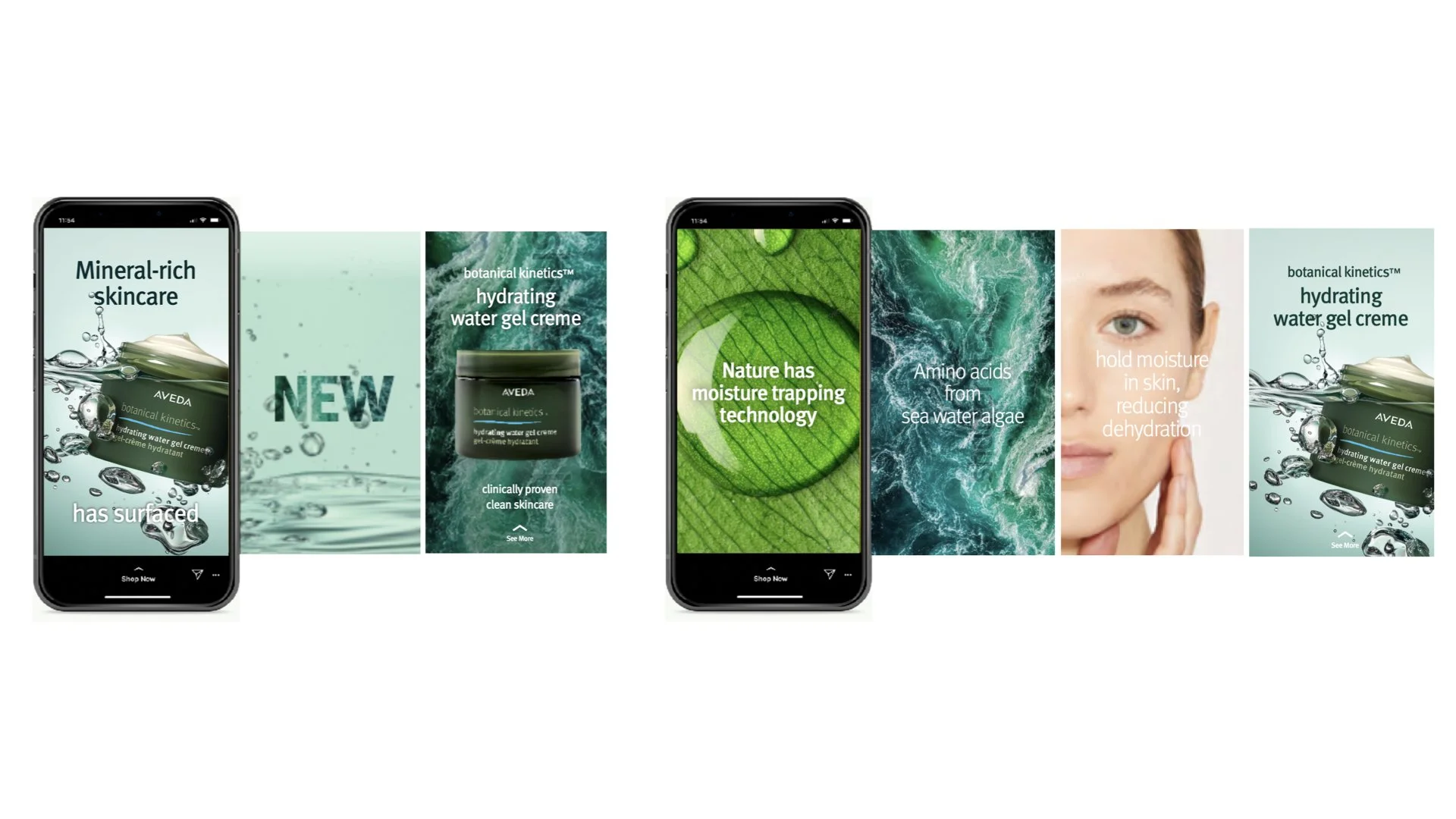 Botanical Kinetics Skincare  |   Digital Ad Concepts