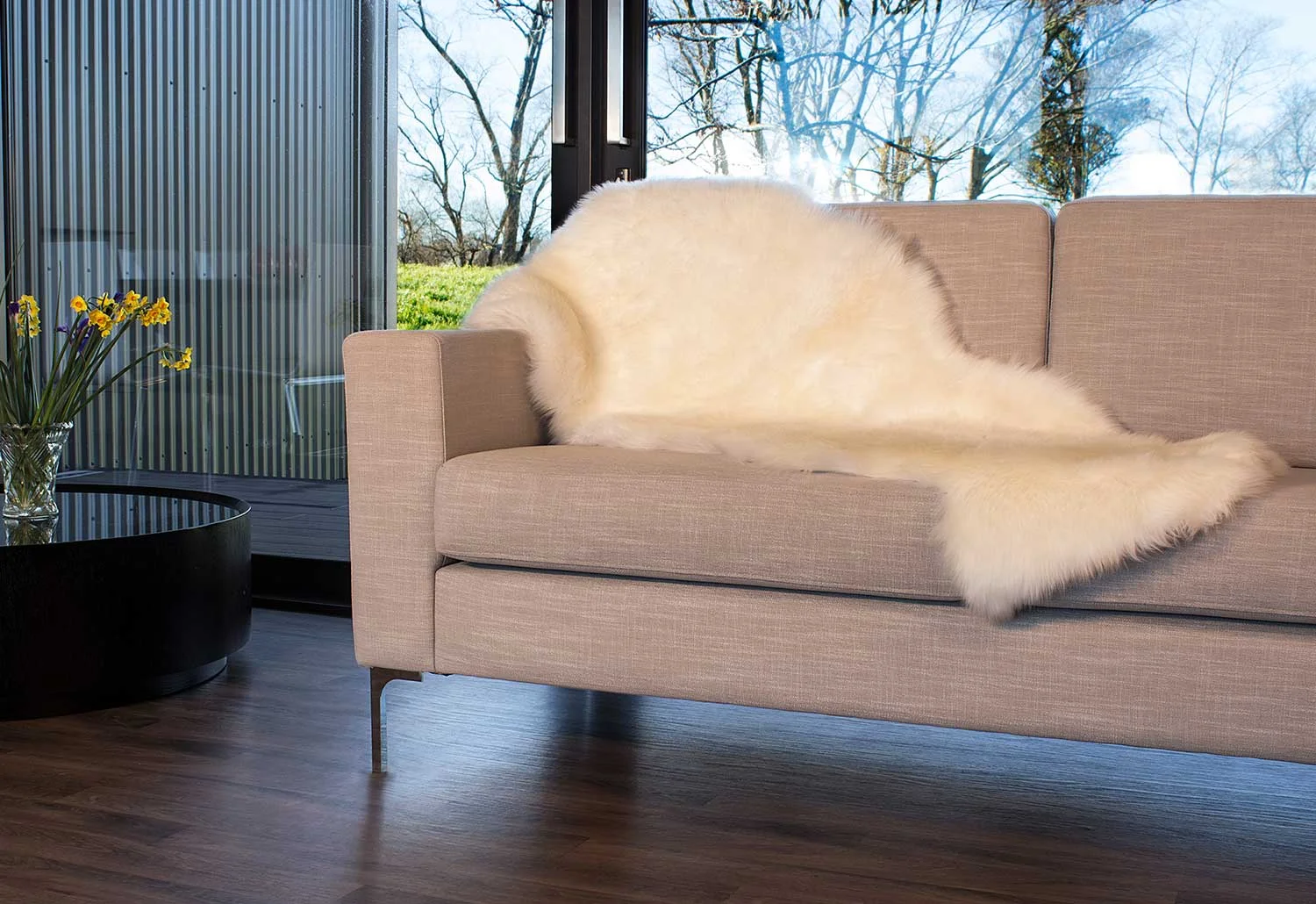 gal_longwool_1.5_3.jpg