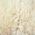 longwool_champagne.jpg