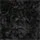 shortcurly_black.jpg