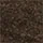 shortcurly_bark.jpg