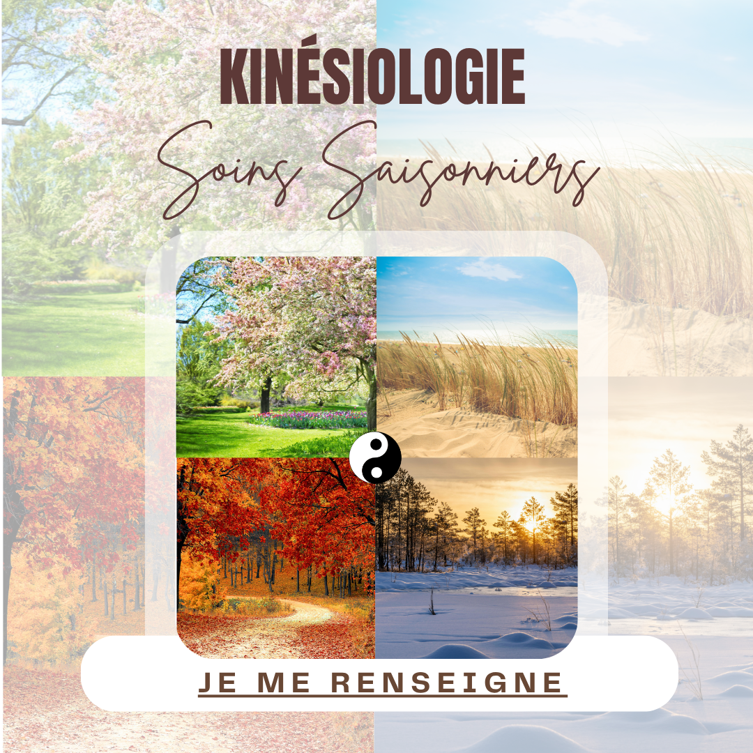 INSTA KINESIO - 2025-11-16T155804.245.png