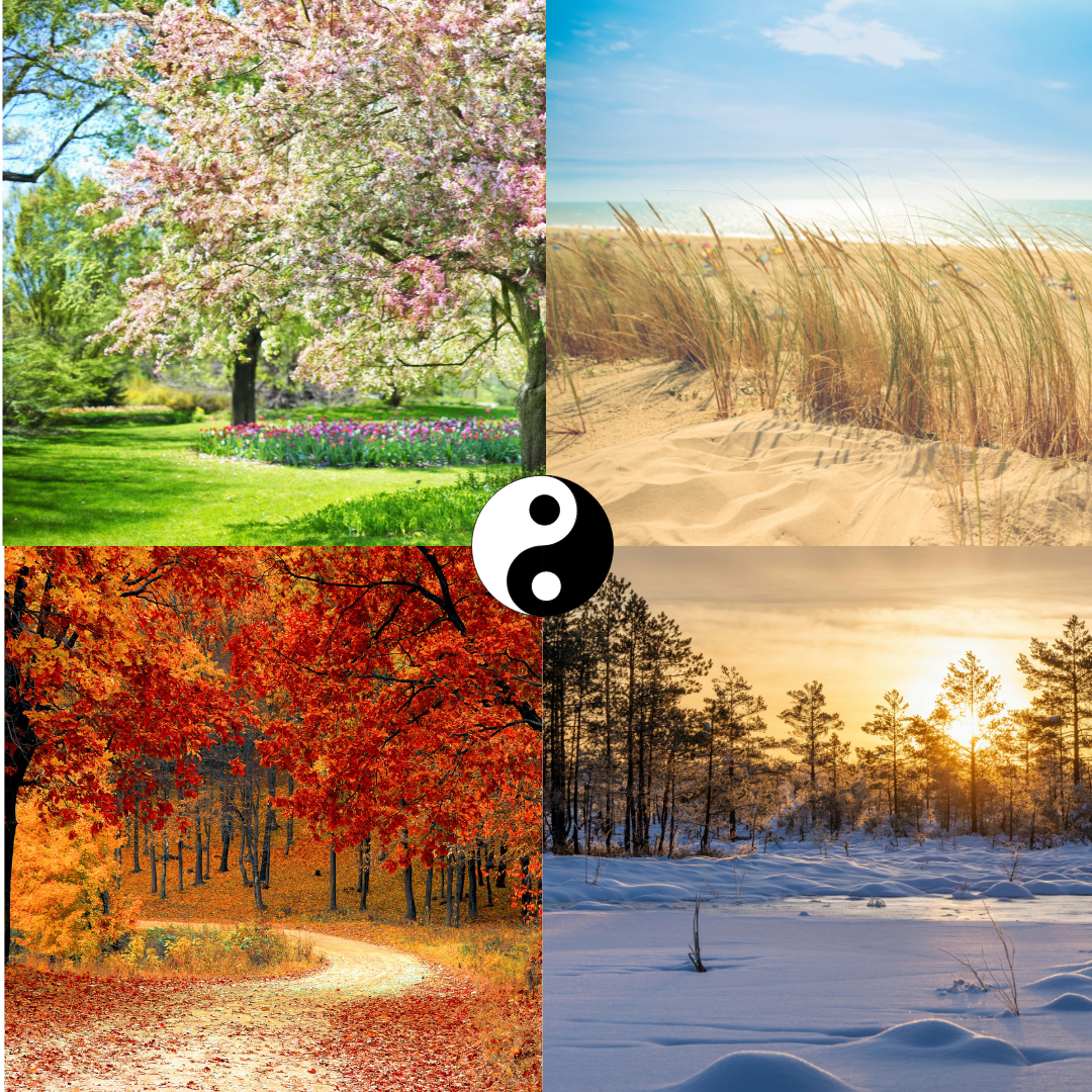 INSTA KINESIO - 2025-11-16T152020.235.png