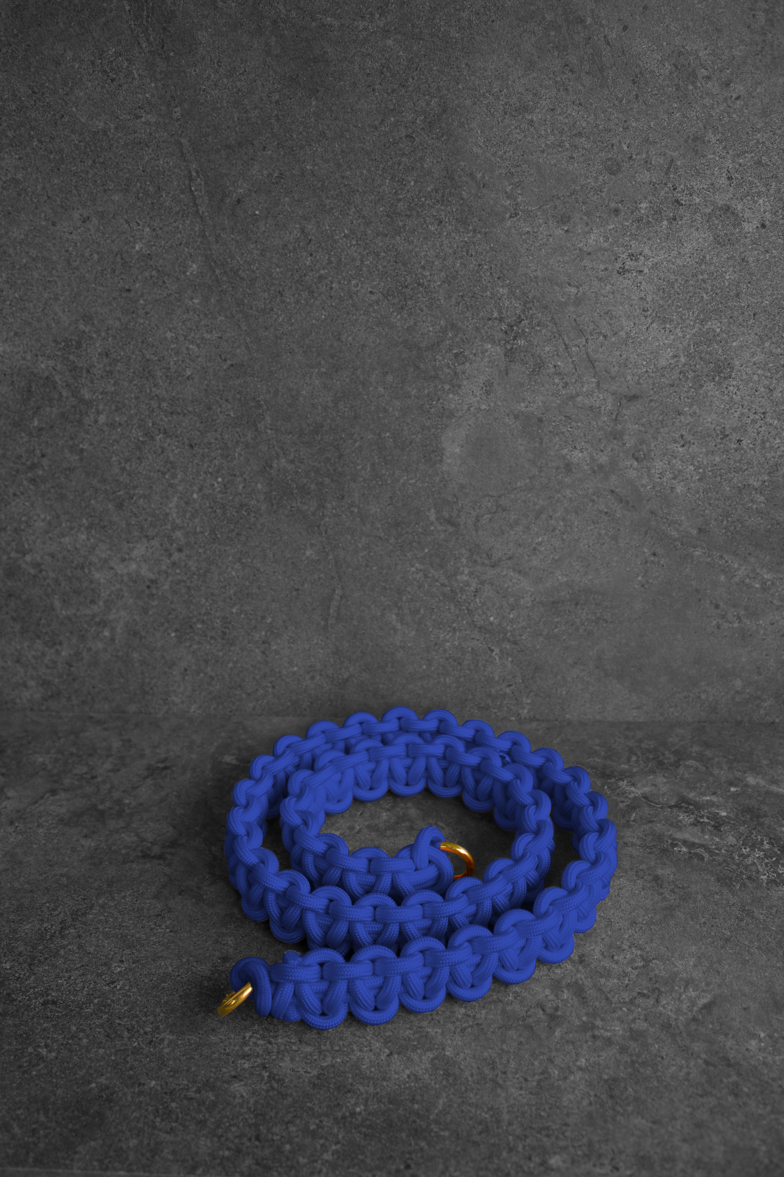 BLU1.jpg