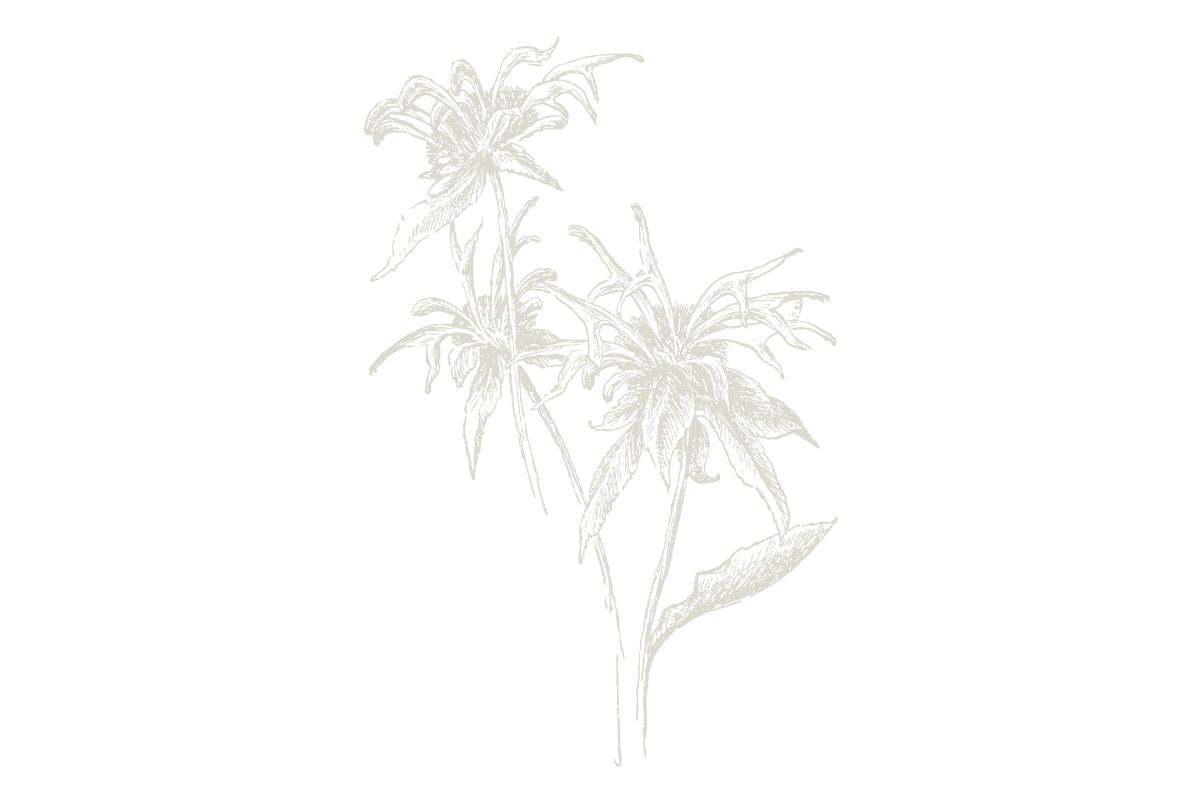 30-Keyes-Flower_5_1200x800.png