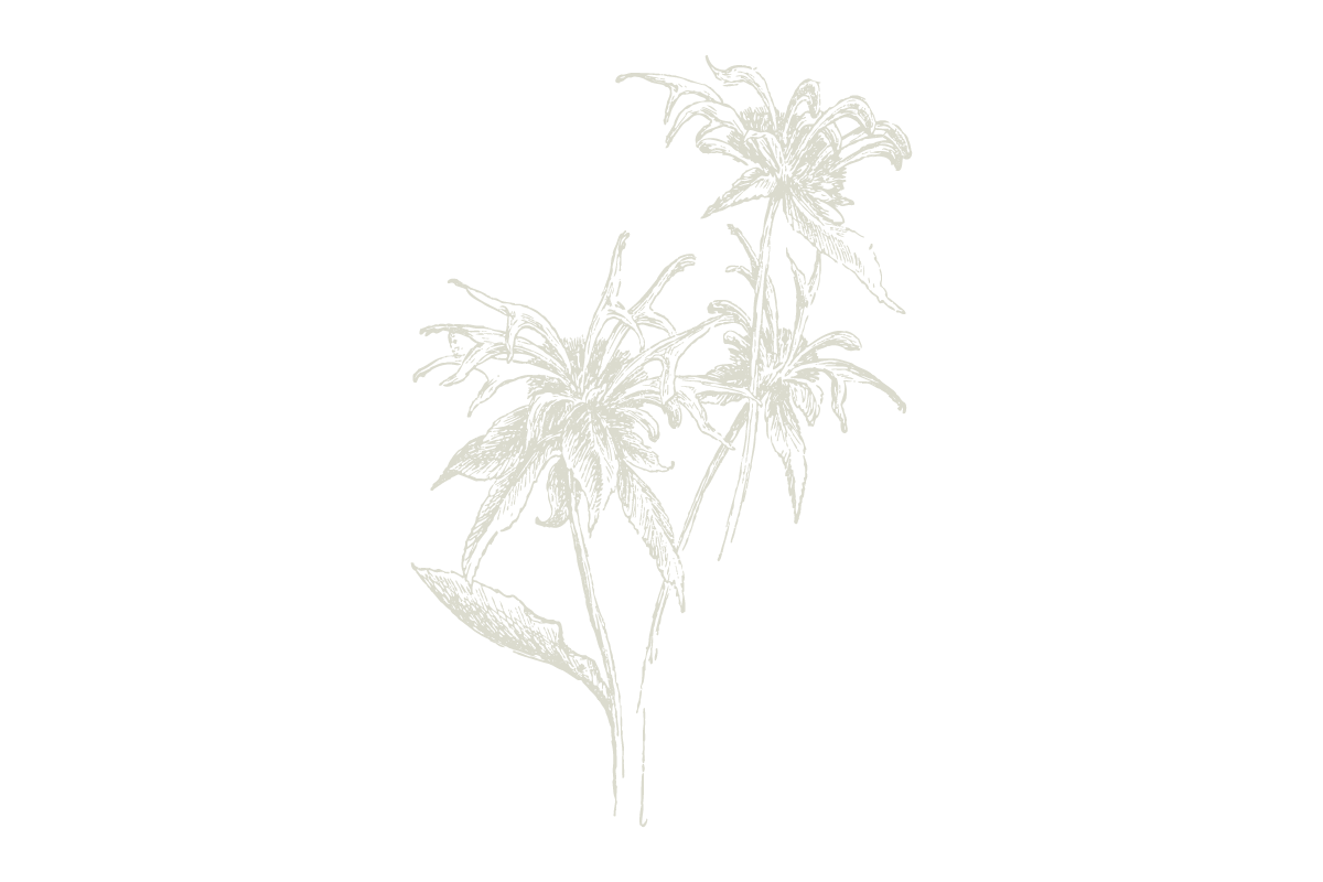 30Keyes_Botanicals_UnitTypes_Demi_20180831.png