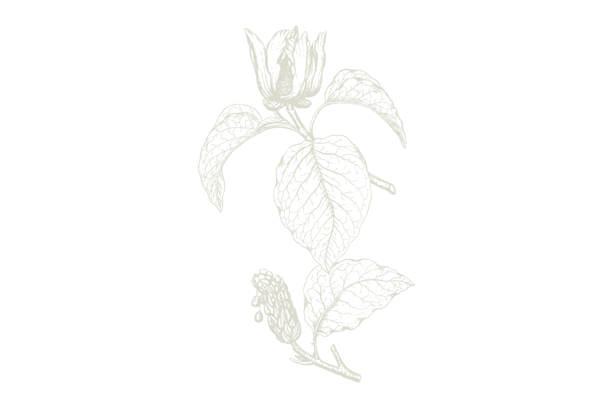 30Keyes_Botanicals_UnitTypes_Demi-Plus_20180831.png