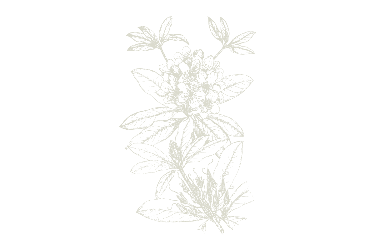 30Keyes_Botanicals_UnitTypes_Roof-Garden_20180831.png