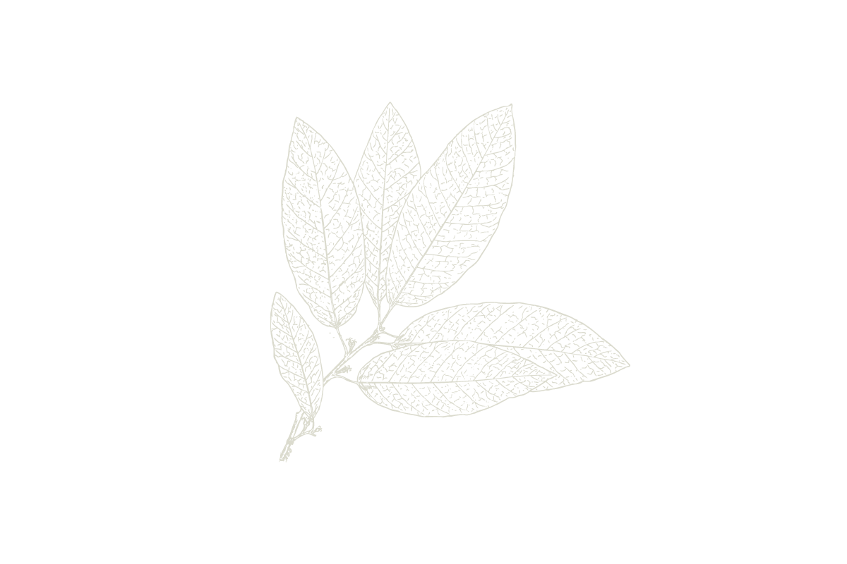 30Keyes_Botanicals_UnitTypes_Atelier_20180831.png