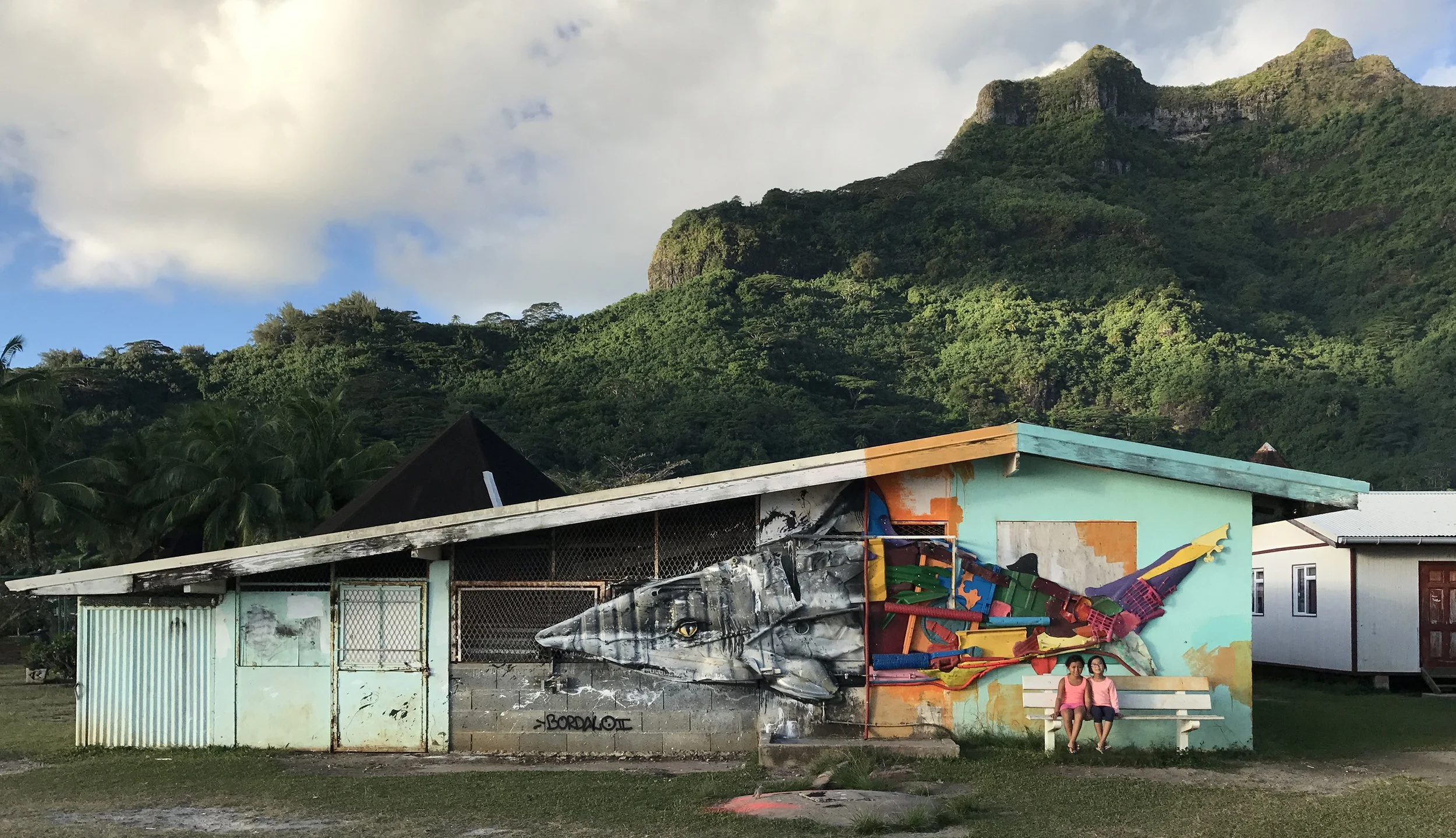 B.18.13_Half Shark_B.jpg