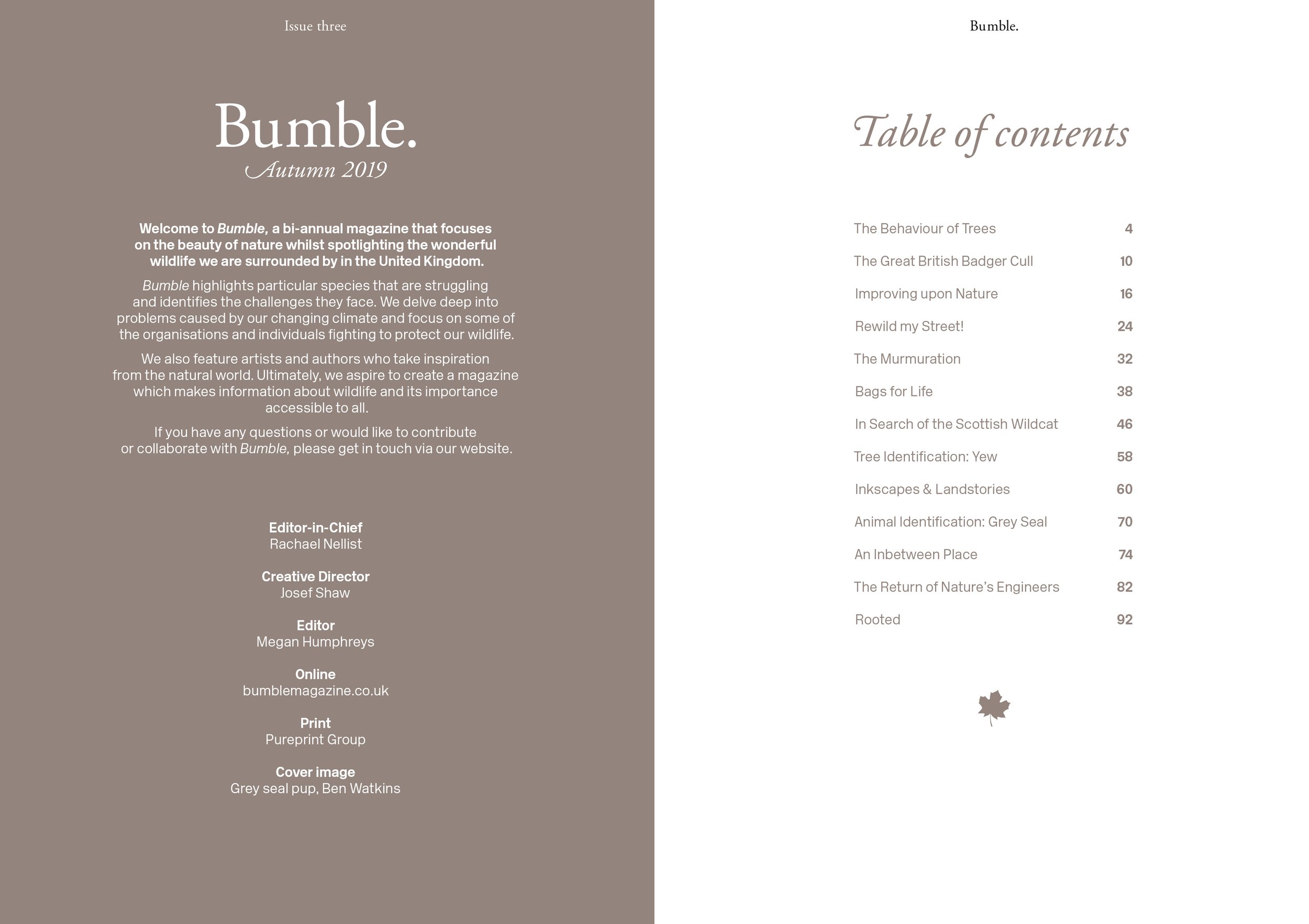 Bumble—Issue Three2.jpg
