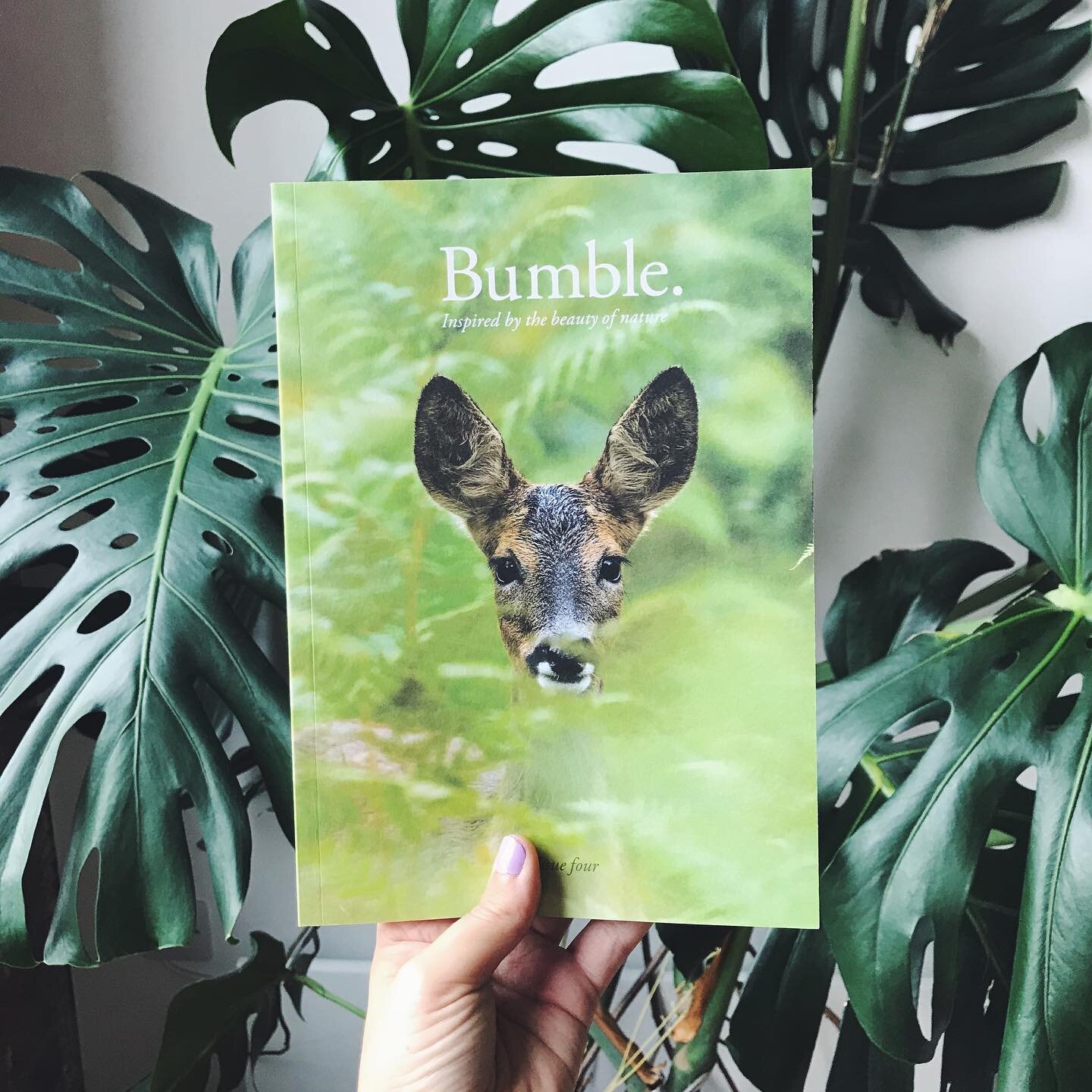 Our final and fave issue. Available to purchase via our website. Link in bio 🌿💚🌿