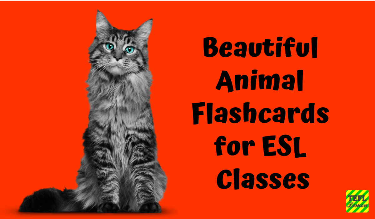 Animal Flashcards for ESL Classes.png