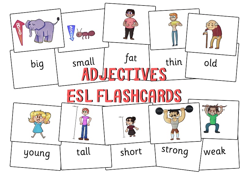 Thin adjective. Adjectives ESL. Adjectives Flashcards for Kids. ESL strong adjectives. Flashcard ESL.