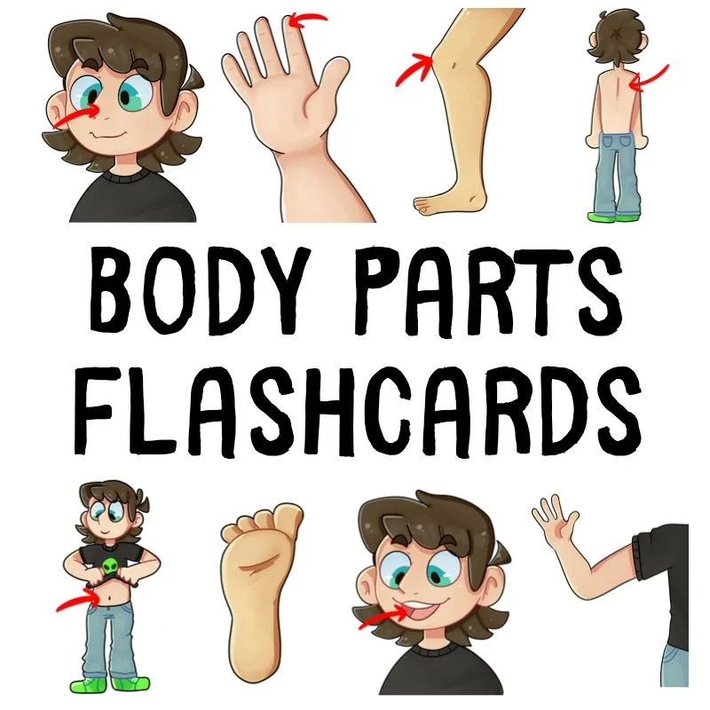 ESL Printable Flashcard Set PDF: Body Parts