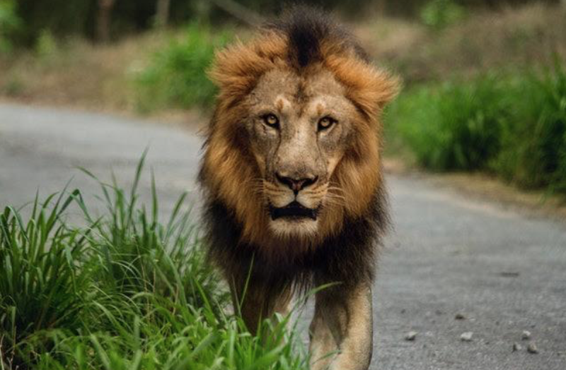 How to be an effective leader: 10 tips