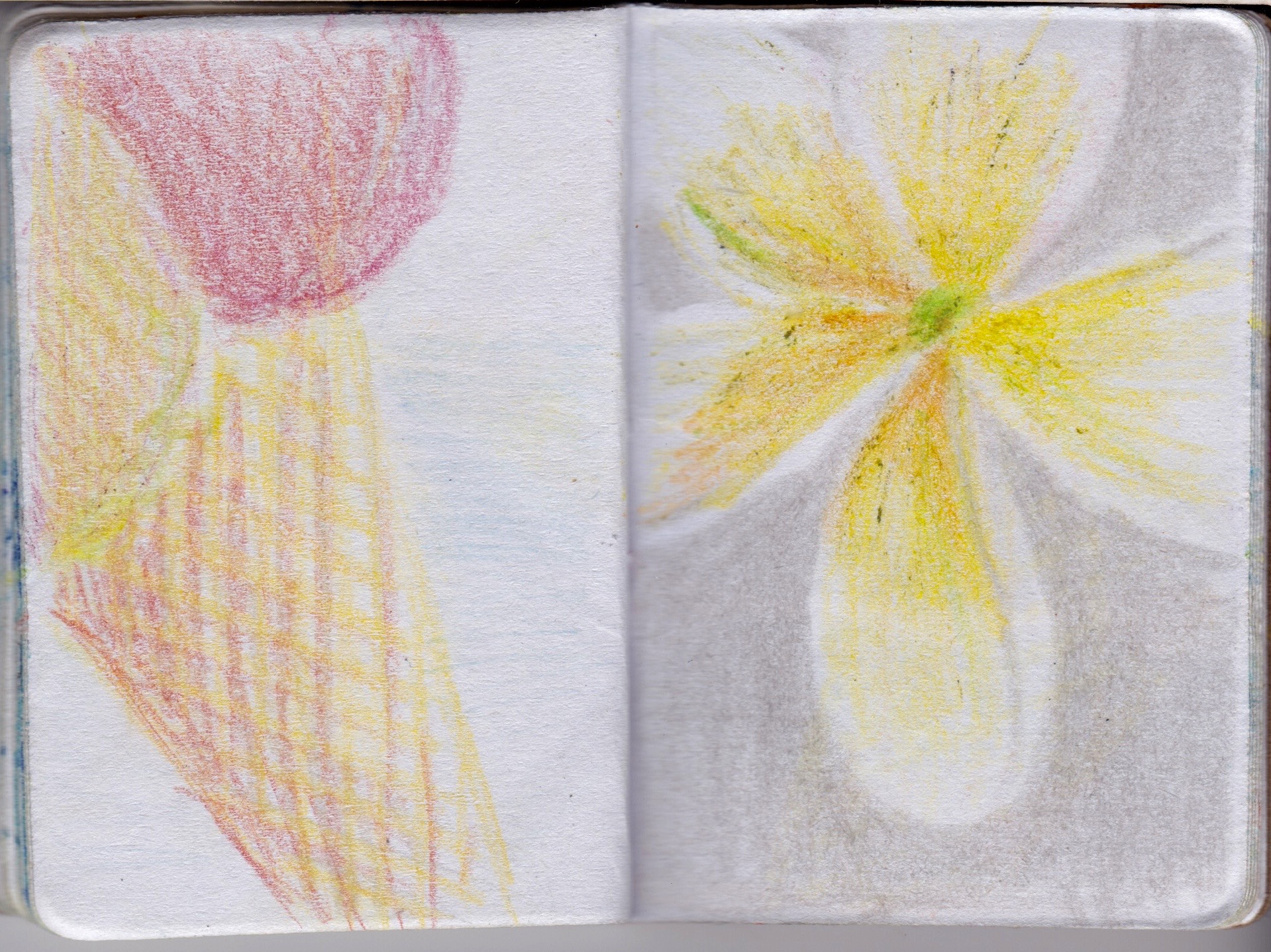 Tiny Sketchbook 25.jpg