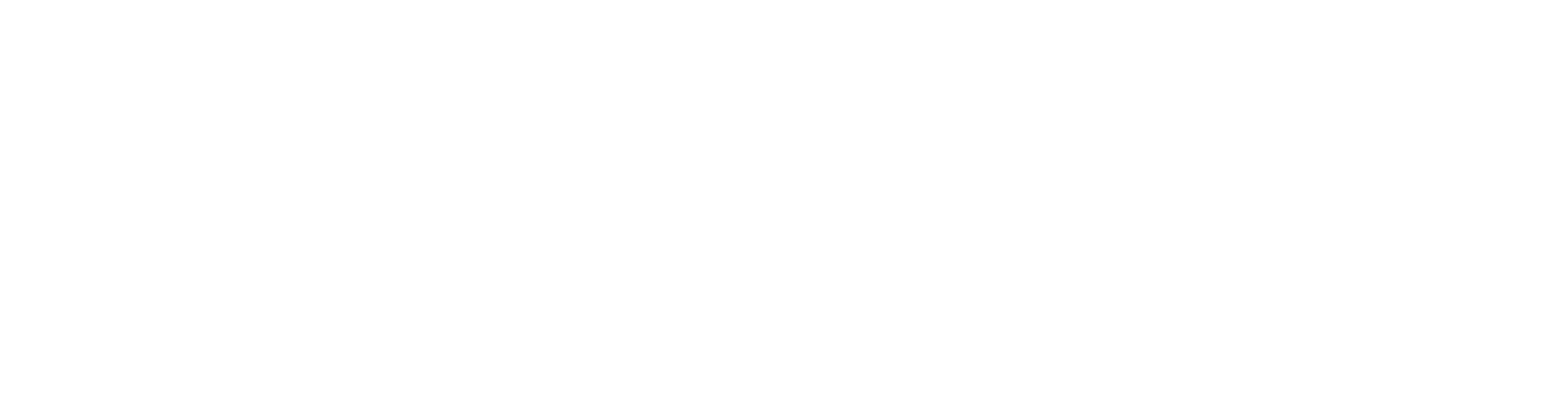 WaveSense Logo White-01.png