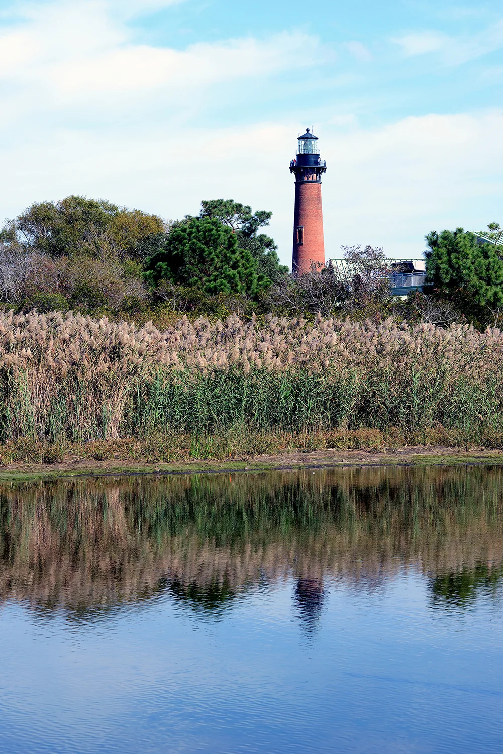 DSC_0638.jpg