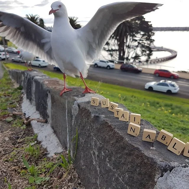 Hooray, we are sustainable!!
#divinegrindcoffee #organic #sustainable #battlingtheelements #eventhebirdsarehappy #mobilecoffee