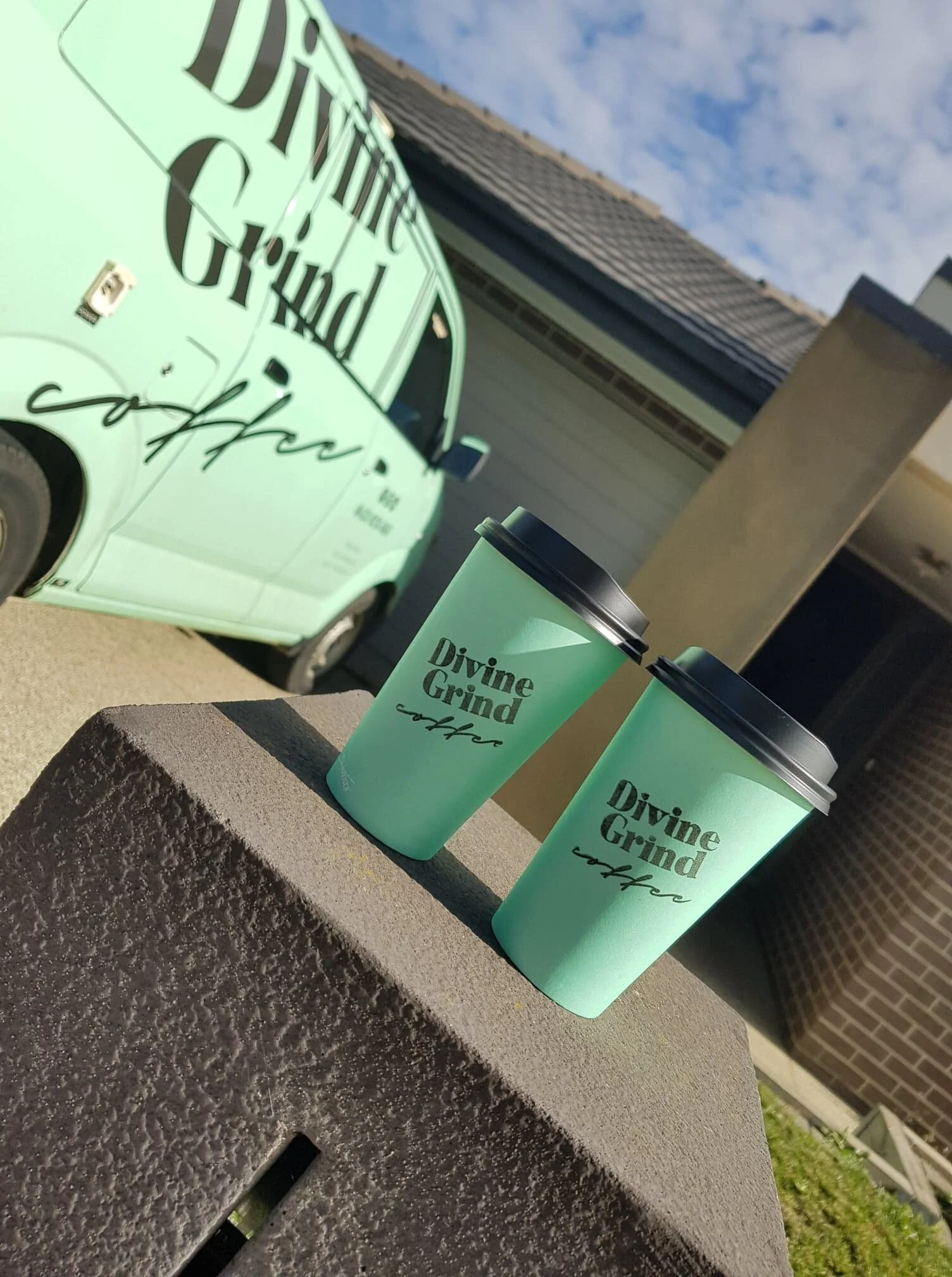 van 2 cups focus.jpg