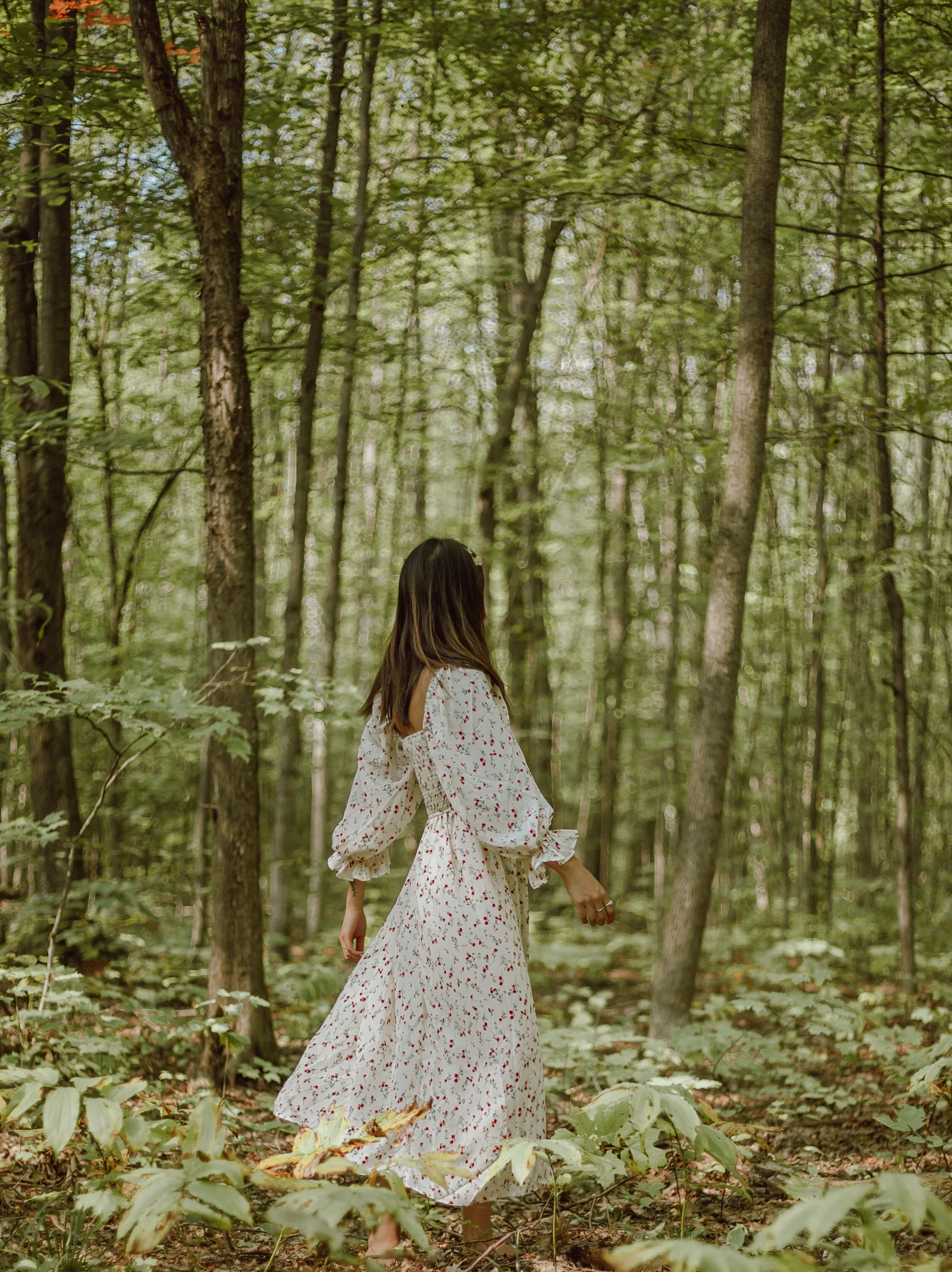Allowing God to Lead You into the Wilderness