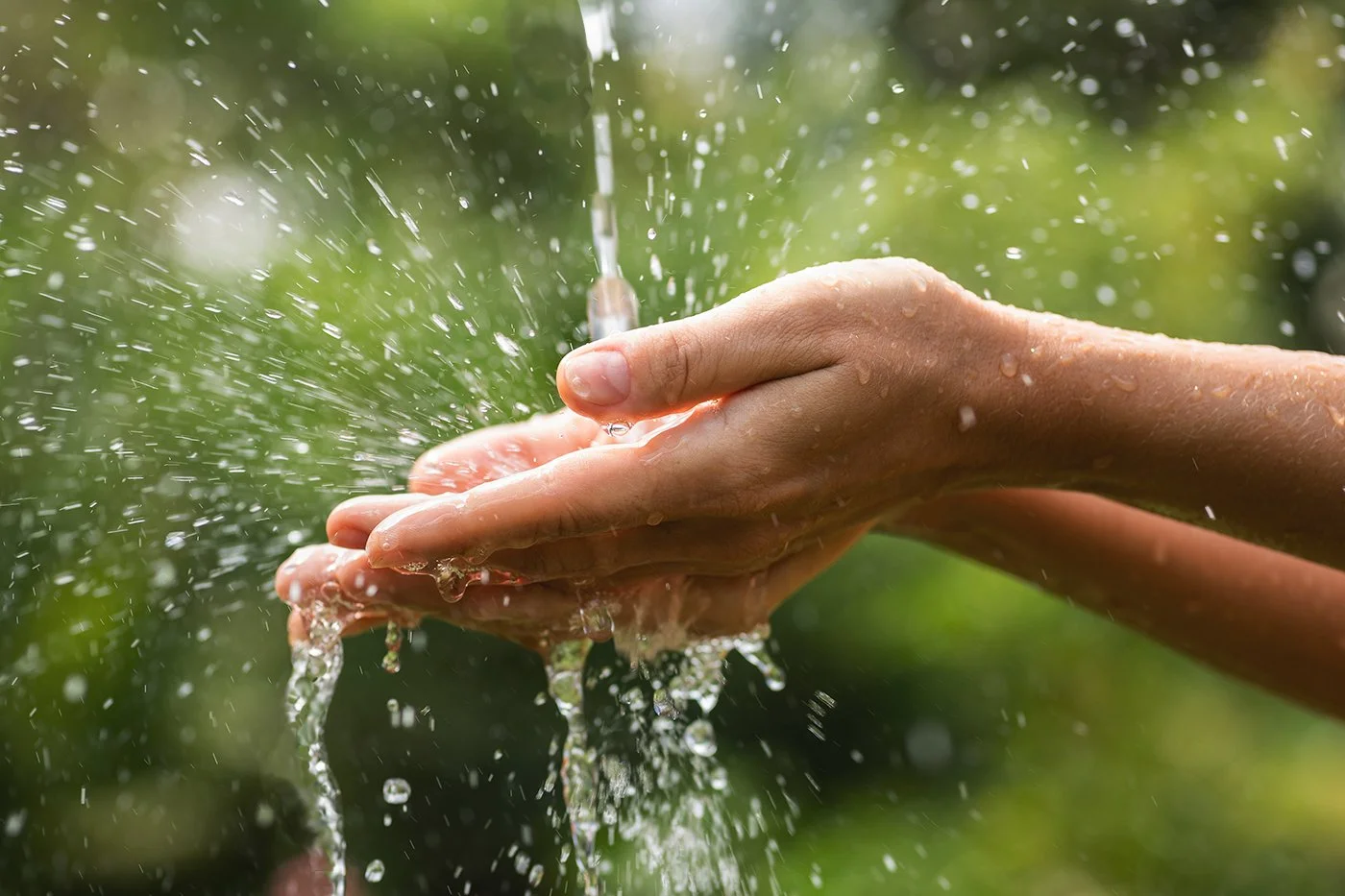 How to Drink From the Living Stream