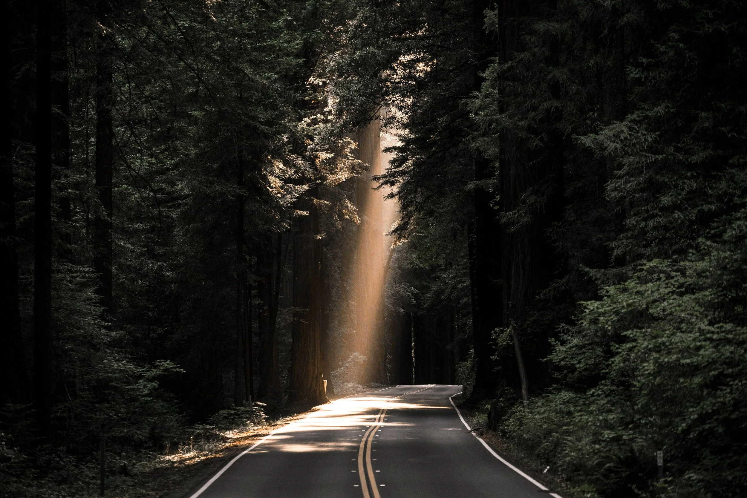 Round Trip to Hell (Michigan): On Trust and Encountering God