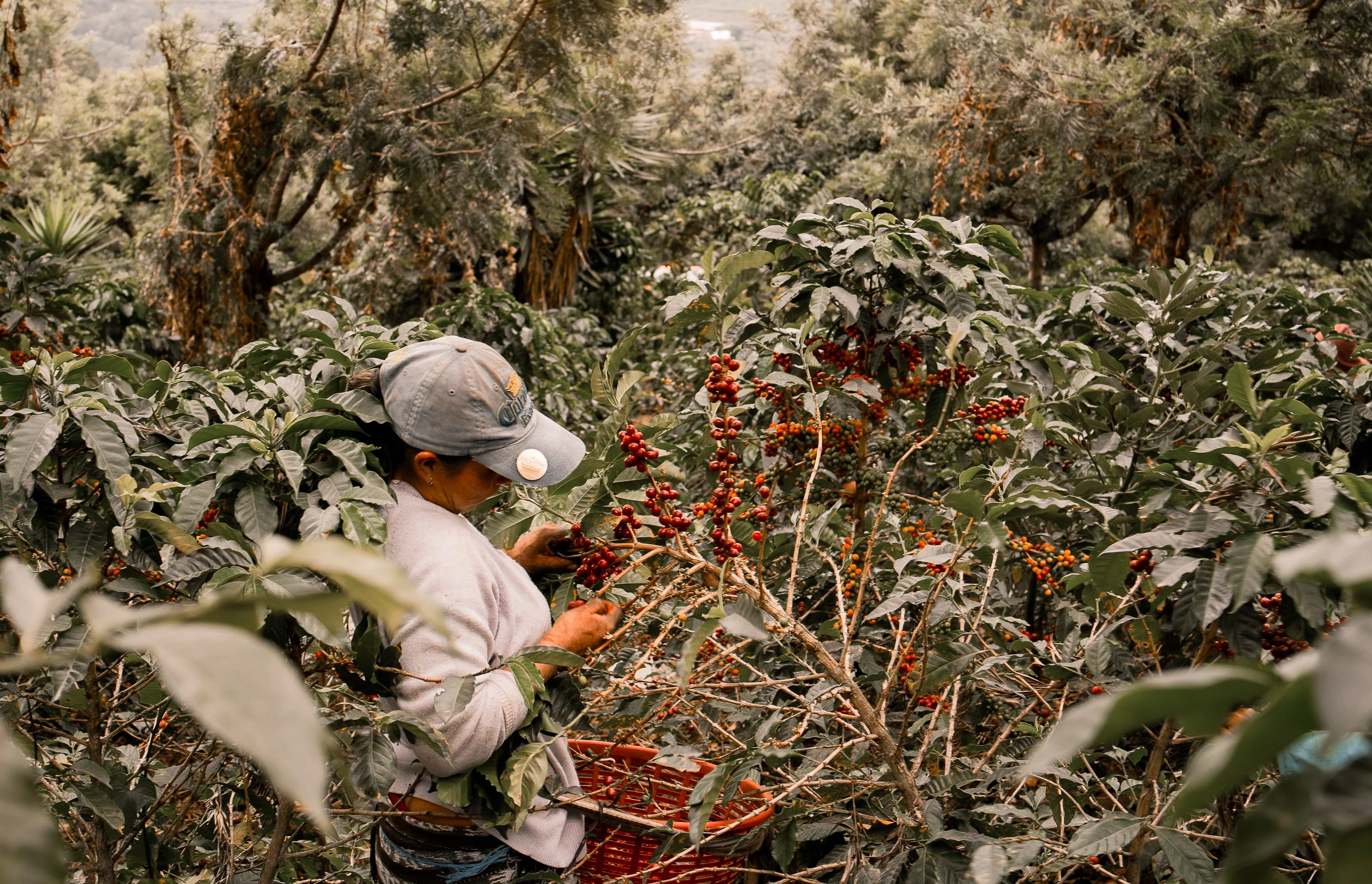 What Does Fair Trade Mean for a Catholic Woman in Business?