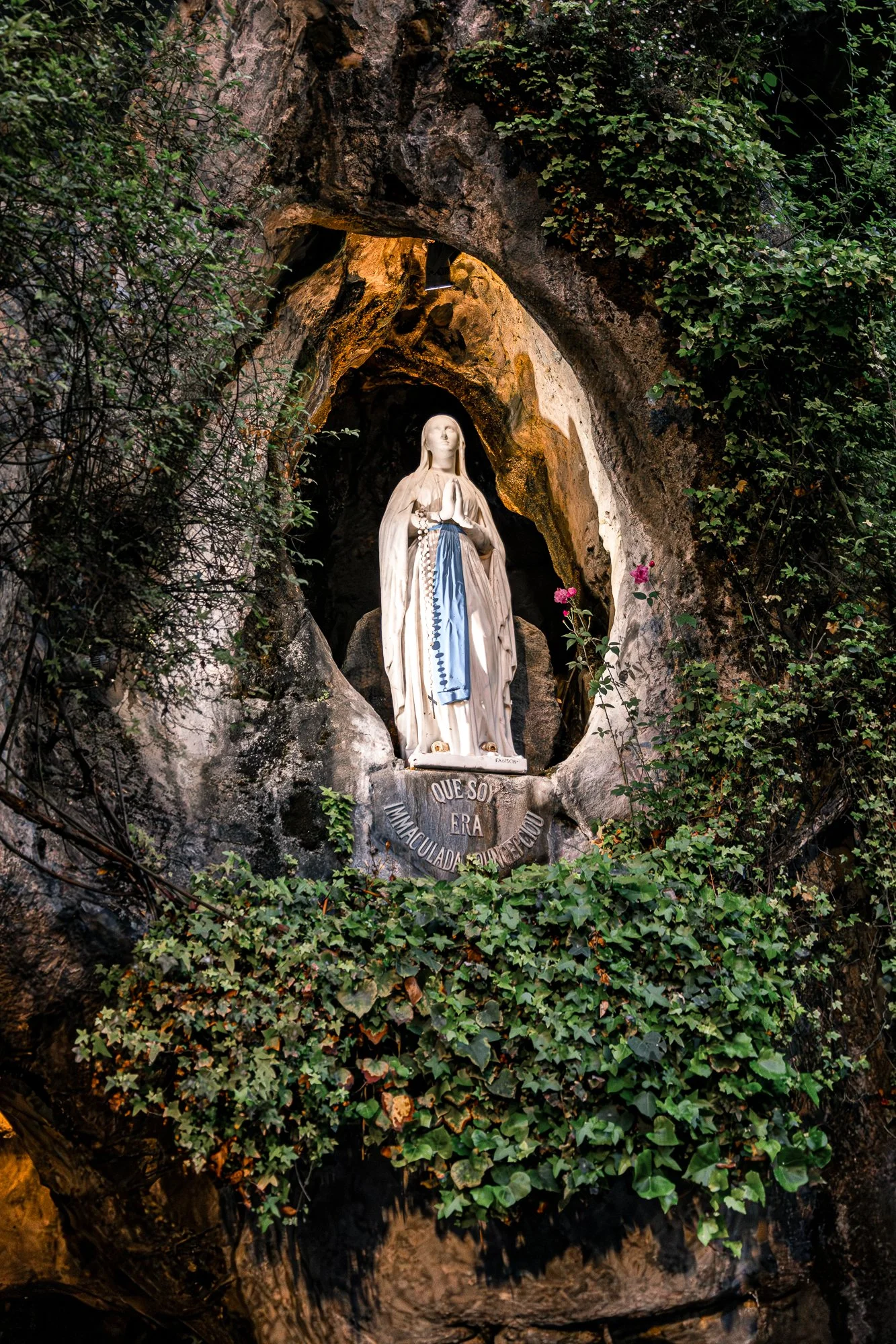 Our Lady of Lourdes: A Reflection&nbsp;