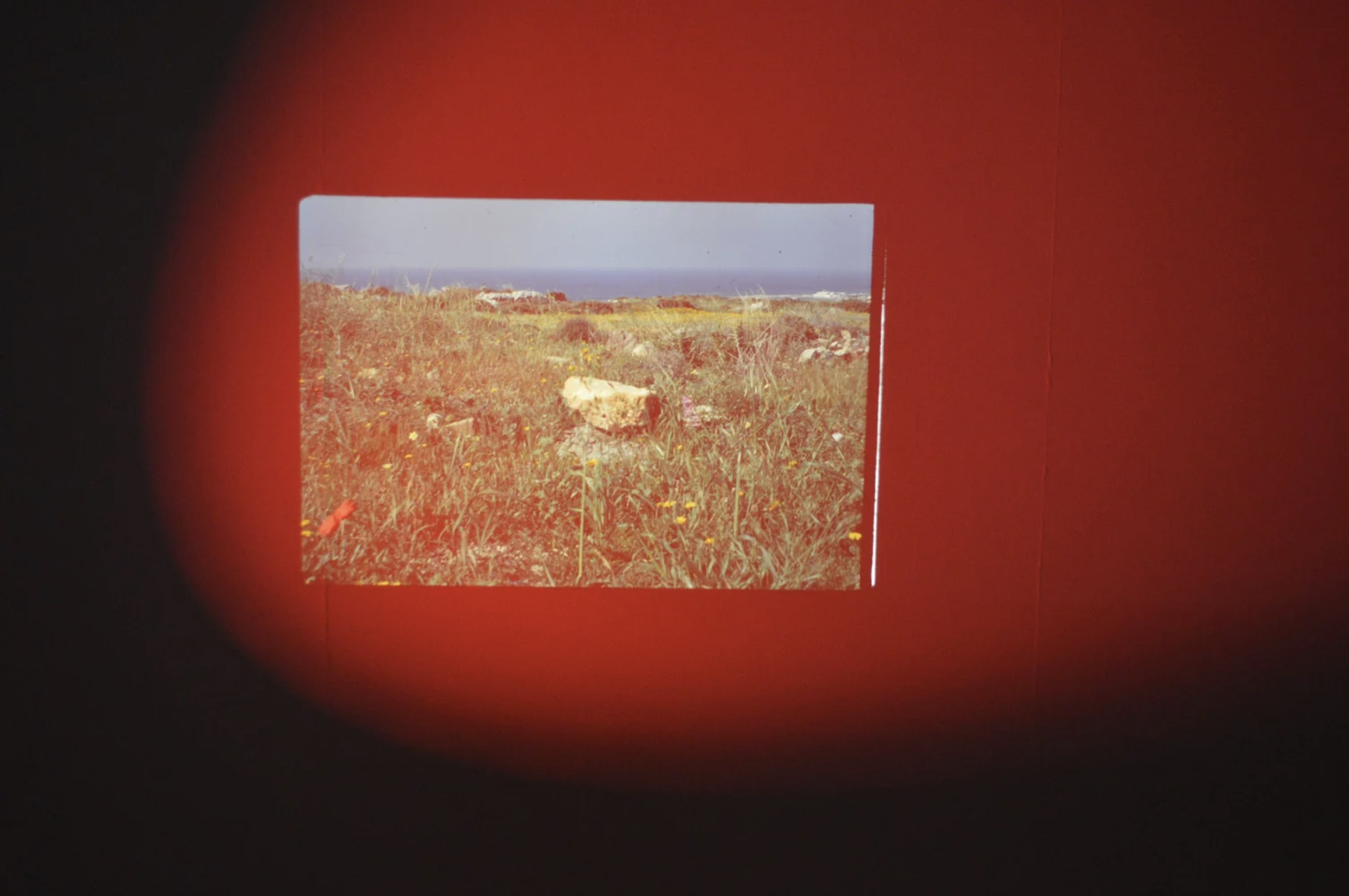 Screenshot 2026-03-26 at 20.40.18.png