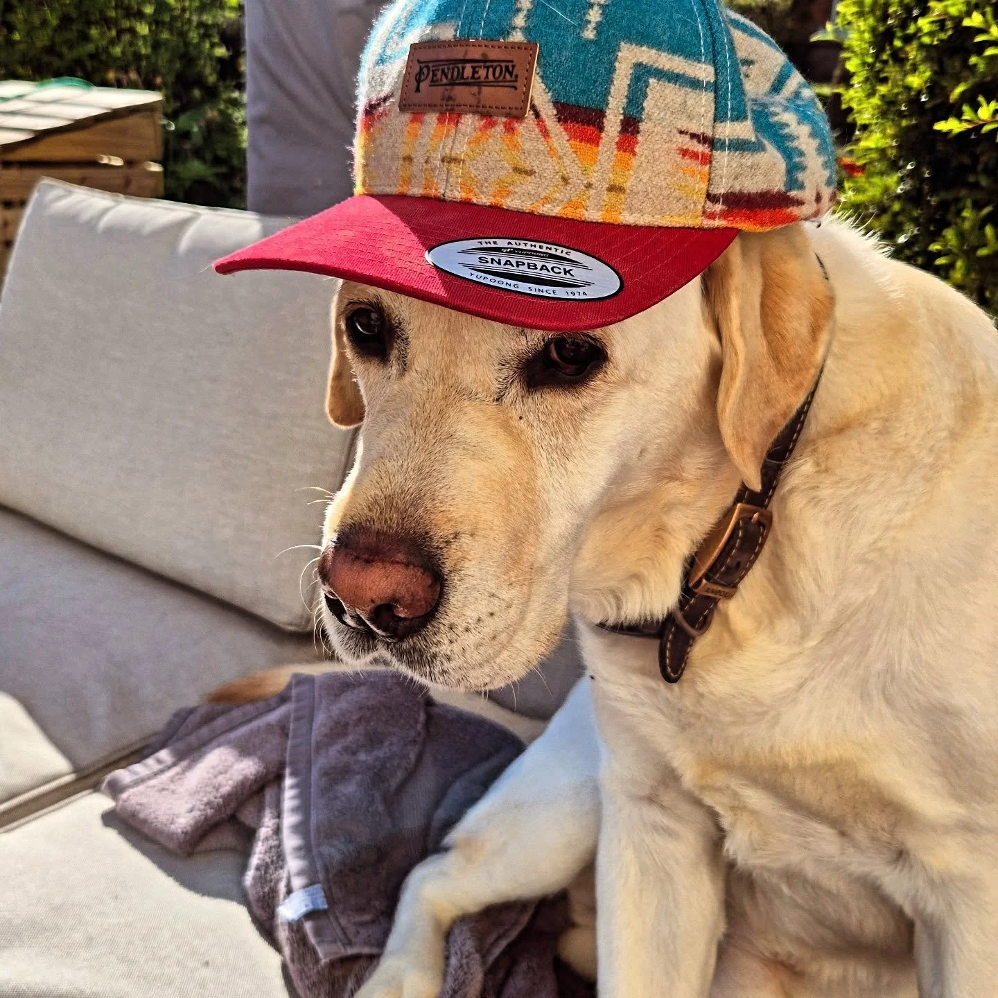 Digging this sun 🤘😎