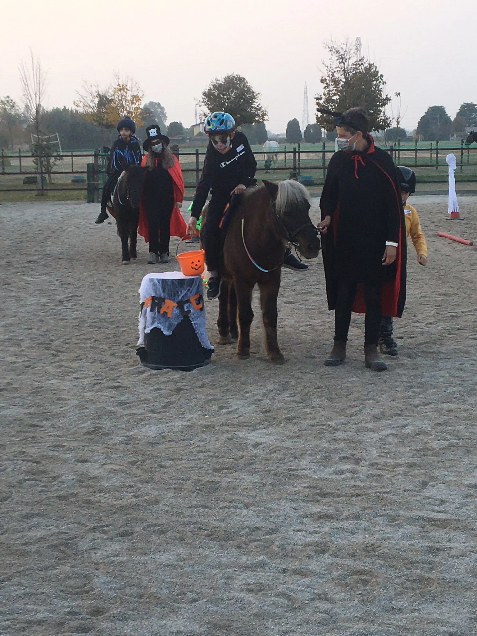 WhatsApp Image 2021-11-01 at 08.11.20.jpeg