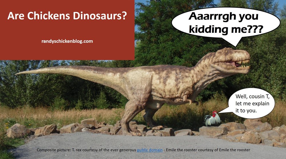 Blog - Dinosaur 3D - AR Camera