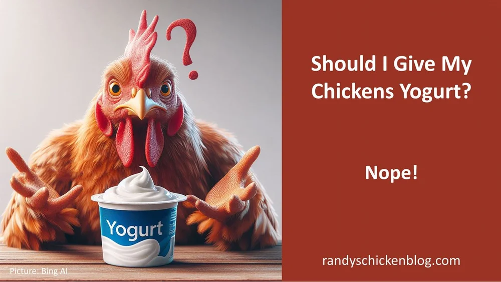Can Exotic Birds Have Vanilla Flavored Yogurt? Expert Insights