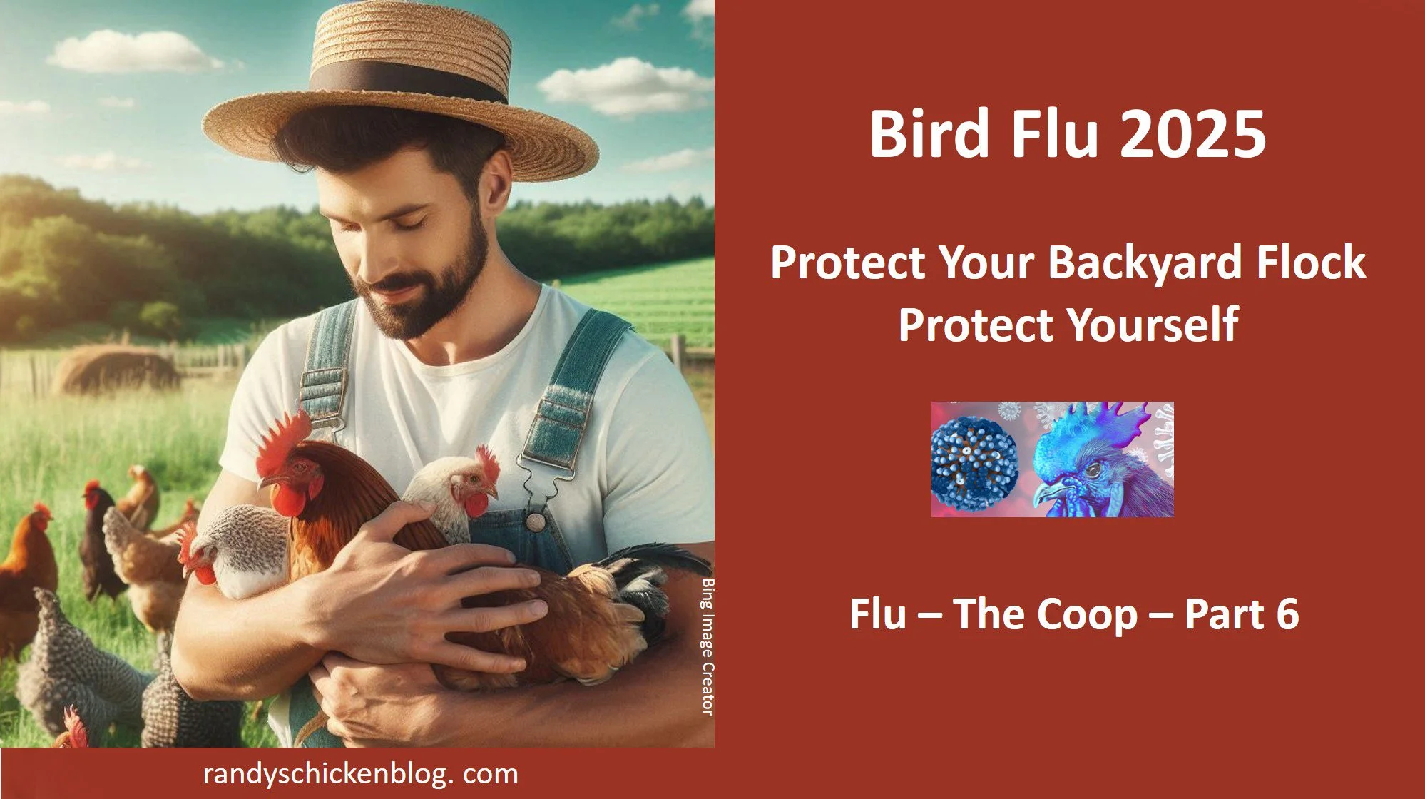 Can You Get Bird Flu from Backyard Eggs? Essential Safety Tips