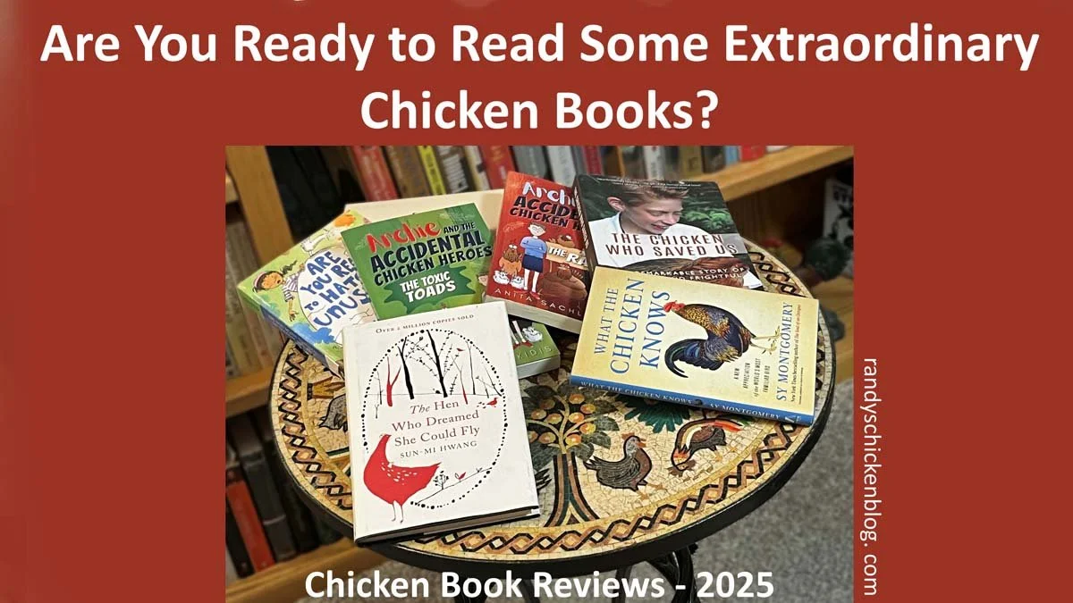 Chicken Book Reviews 2025 - Are You Ready for Some Extraordinary Chicken Books?