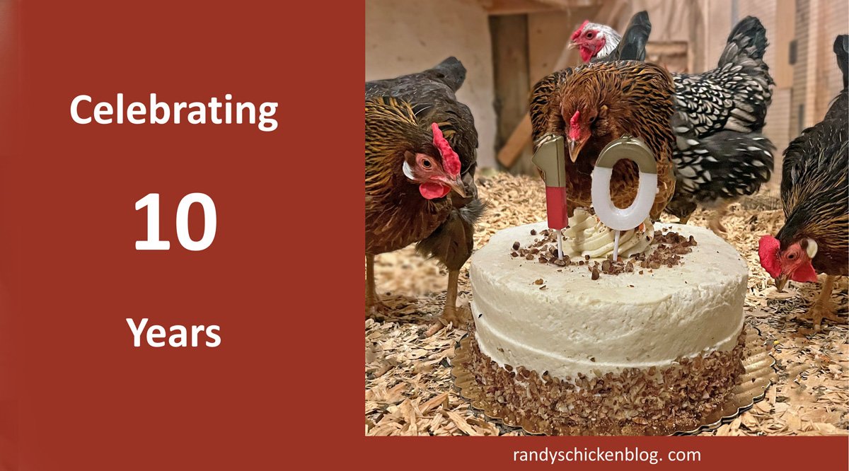 Randy's Chicken Blog: The Tenth Anniversary
