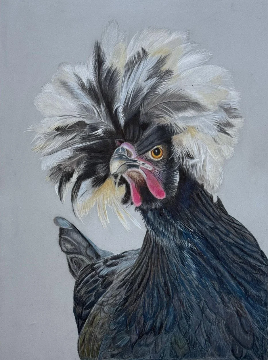 Are Chickens the Closest Living Relative of T. rex? No! And Here's ...
