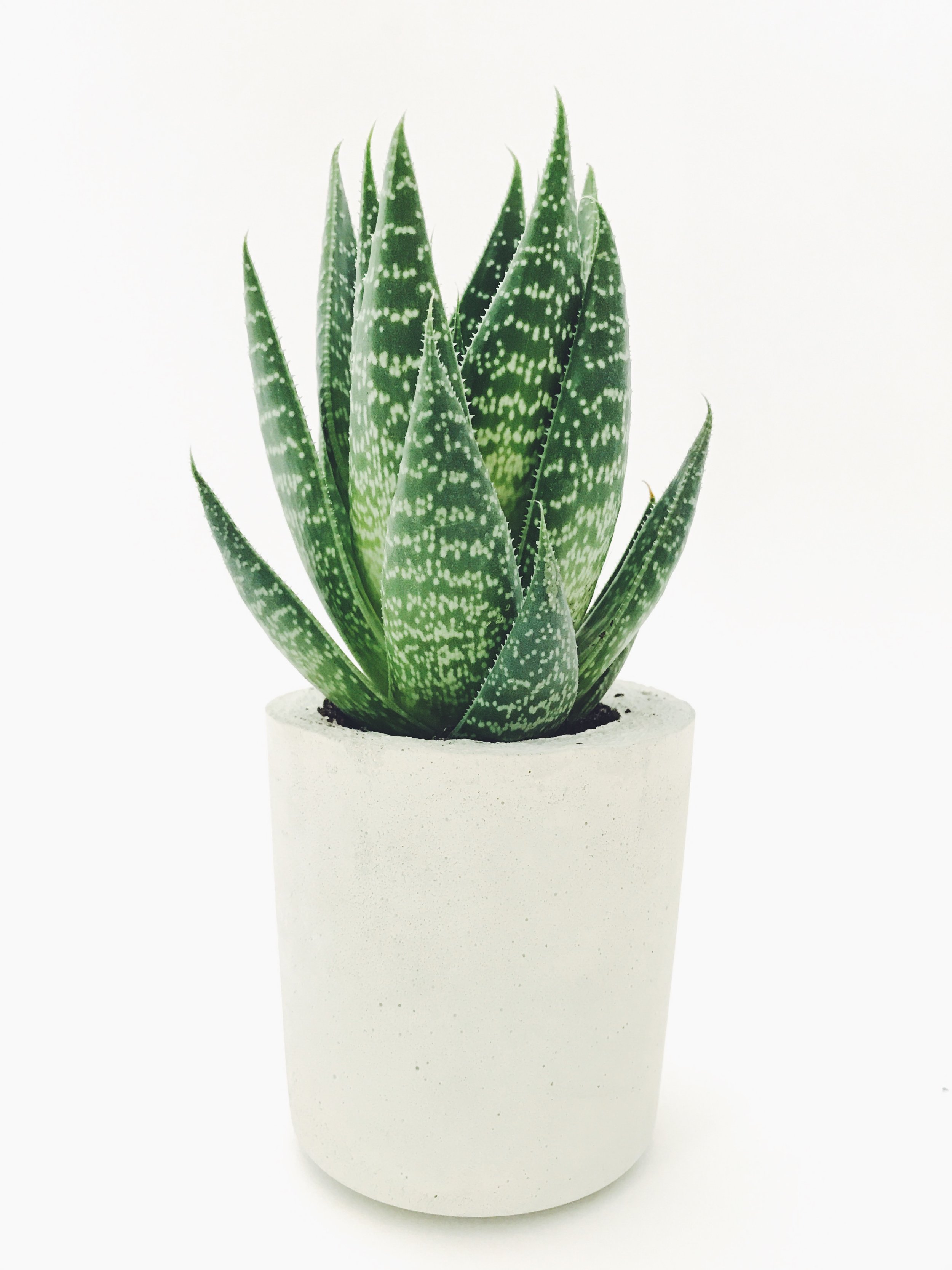 6 Sustainable Products to Start Effortlessly Living a More Eco-Friendly Lifestyle