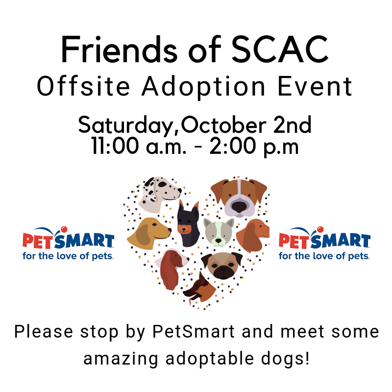 10.06.2018 Petsmart.png