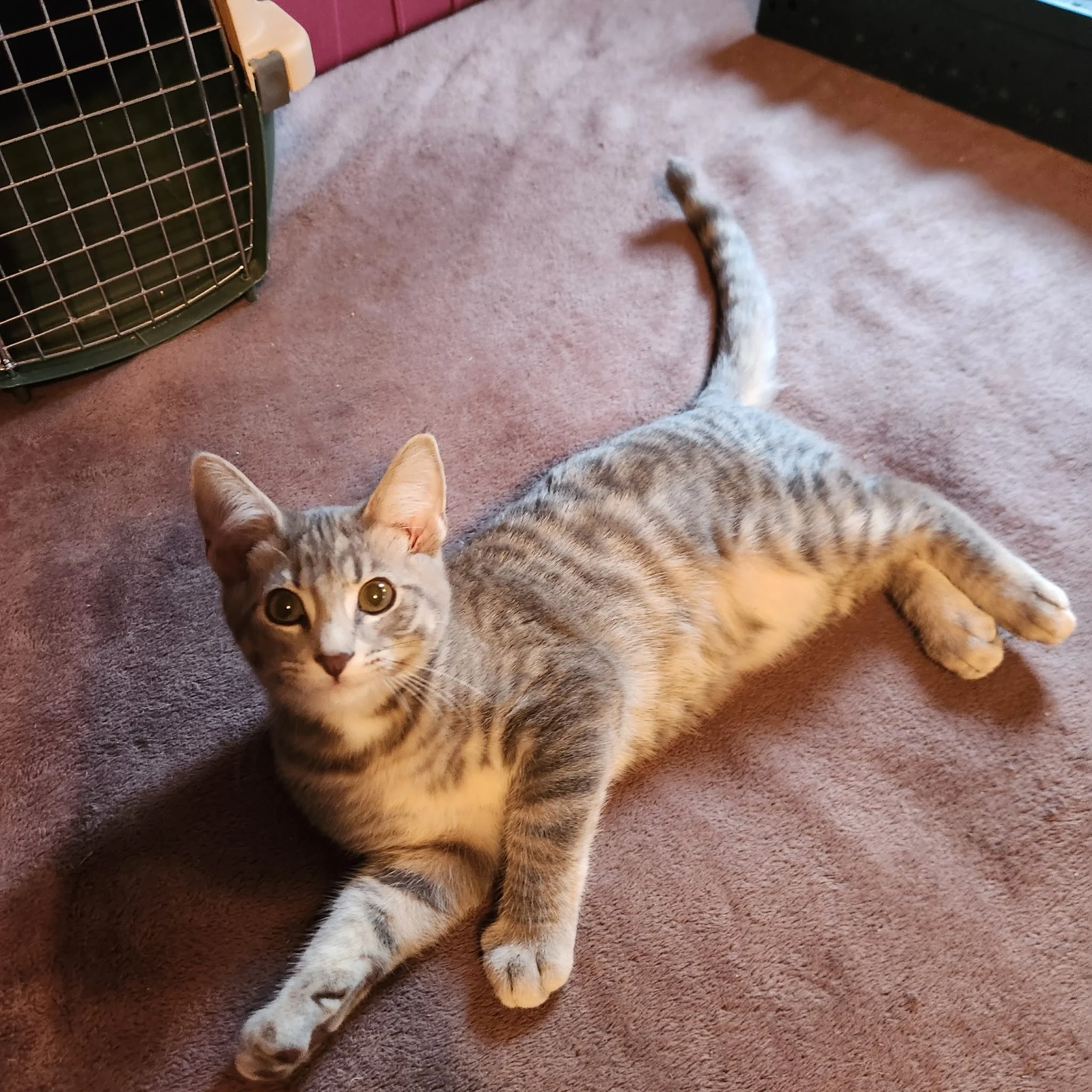 Duncan